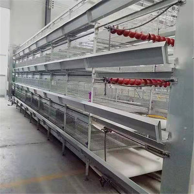 3 Tiers H Type Layer Chicken Cage For Broiler Farm Cold Galvanized