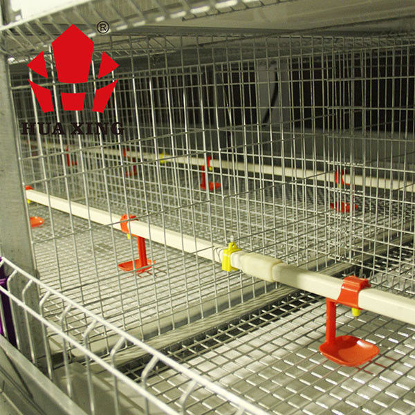 Automatic Broiler Chicken Cage For Animal Poultry Husbandry Livestock Durable