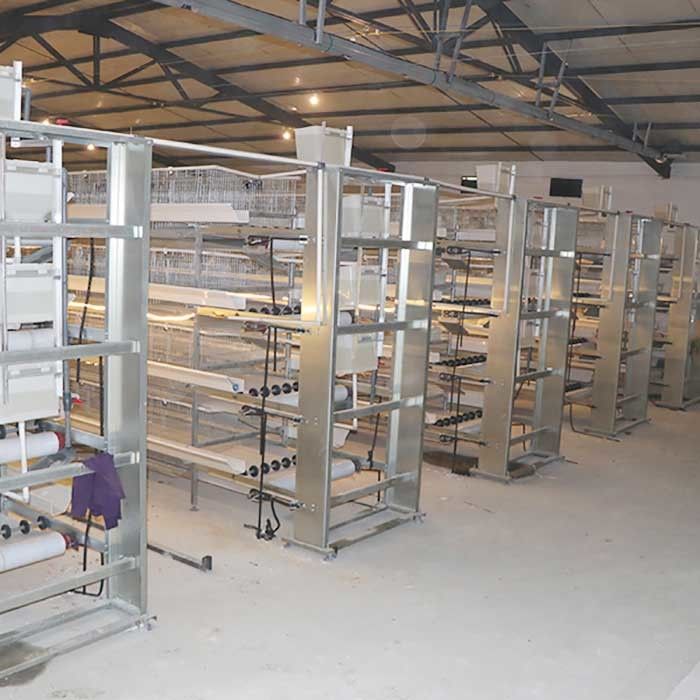 Auto Feeding Egg Laying Chicken Cages , Q235 Steel Wire Layer Bird Cage