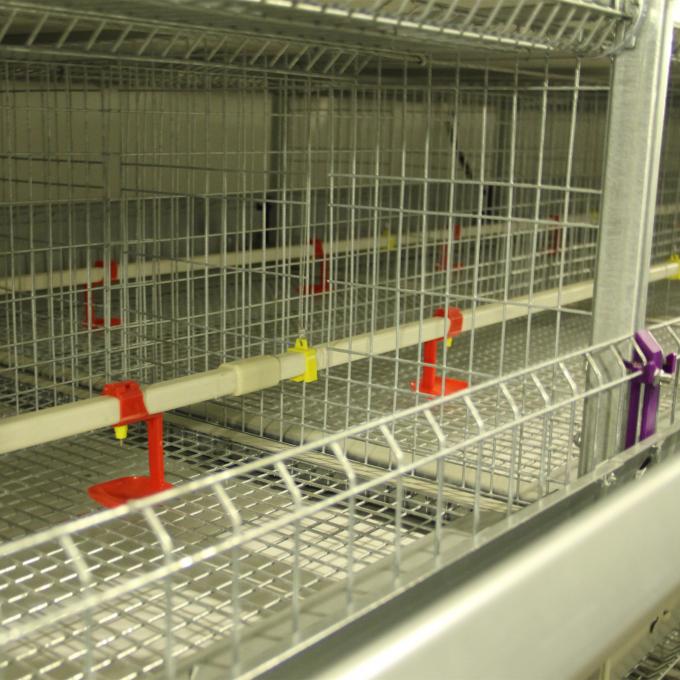 Large Breeding Poultry Exhibition Cages , 120 * 60 * 59CM Chicken