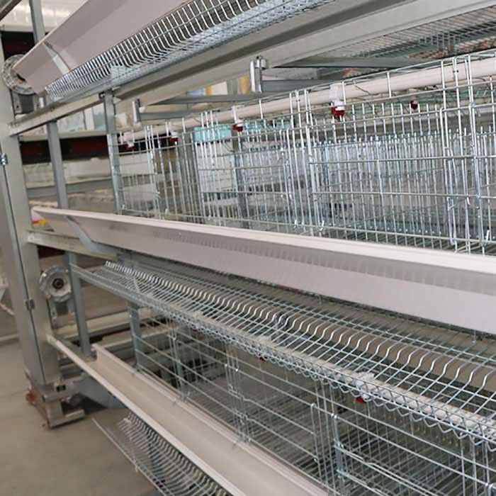 Adjusting Automatic Battery Cage System , Enriched Wire Steel Cage For Chicken