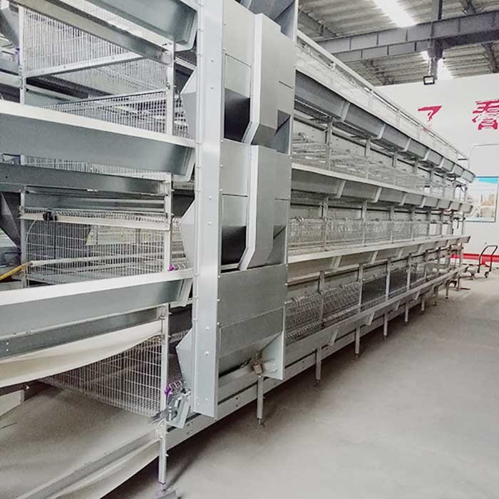 Indoor Powerful Broiler Chicken Cage 96 120 Birds Capacity With Manure System