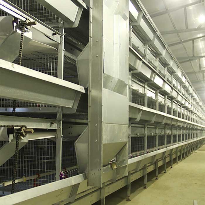 195 * 50 * 35cm Brooder Cage For Chicks , 24 Doors Chicken Isolation Cage