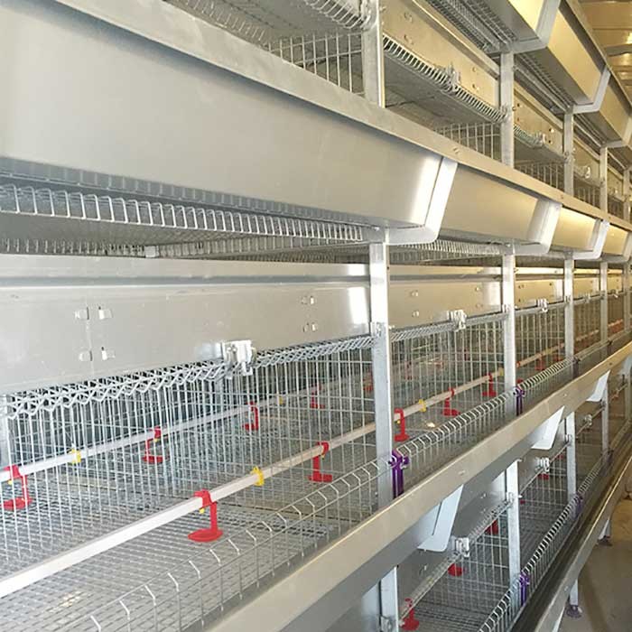 4 Tier 195CM Brooder Cage For Chicks A Type Galvanized Q235 Steel Material