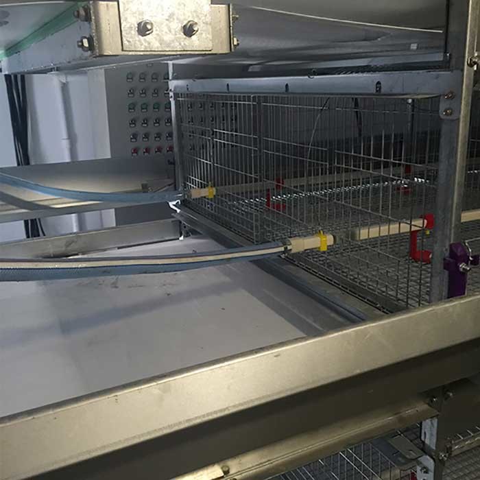 Waterproof 380V Brooding Cages For Chicks , U Shape Steel Small Poultry