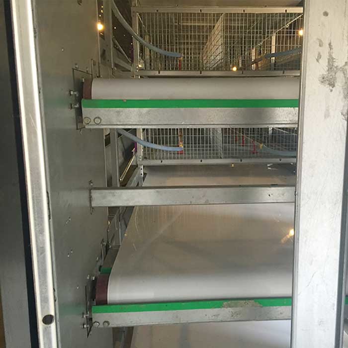 4 Tier 195CM Brooder Cage For Chicks A Type Galvanized Q235 Steel Material