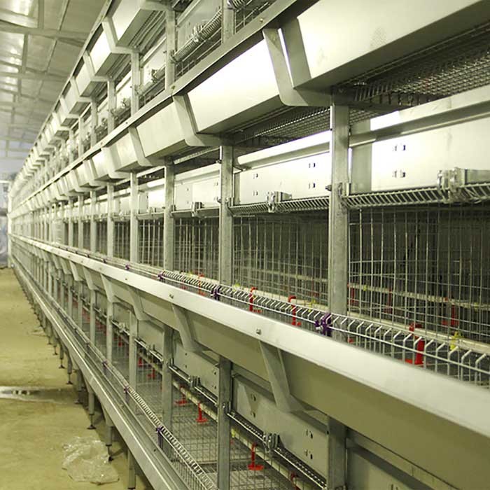 Large Breeding Poultry Exhibition Cages , 120 * 60 * 59CM Chicken