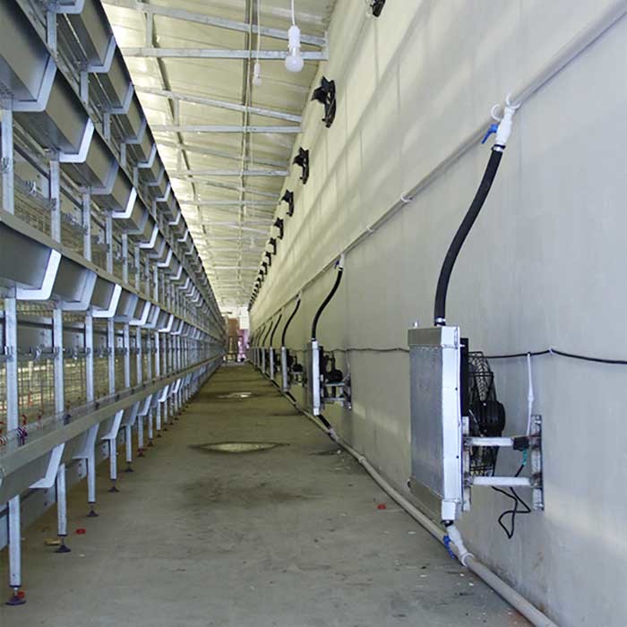 Large Breeding Poultry Exhibition Cages , 120 * 60 * 59CM Chicken