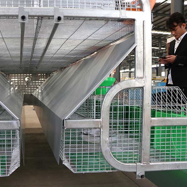 1500mm Height Sturdy Rabbit Hutch , Waterproof 2 tiers Huge Bunny Cage