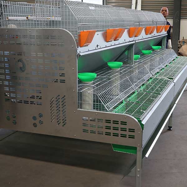 Durable Large Scale Farm Rabbit Cage Low Disease Rate For Female Rabbit