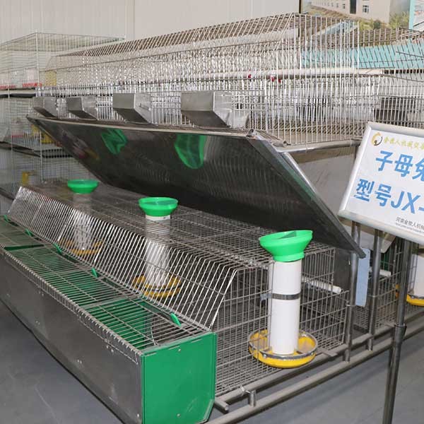 Breeder 240 * 200 * 150cm Rabbit Cage , Rigid Wire Rabbit Cage With Tray
