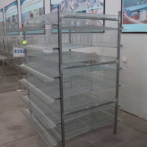 High Performance Farming Quail Indoor Cage , Waterproof Breeding Canary