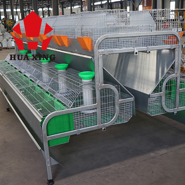 European Type Large Scale Industrial Meat Rabbit Farm Cage Manufacturer