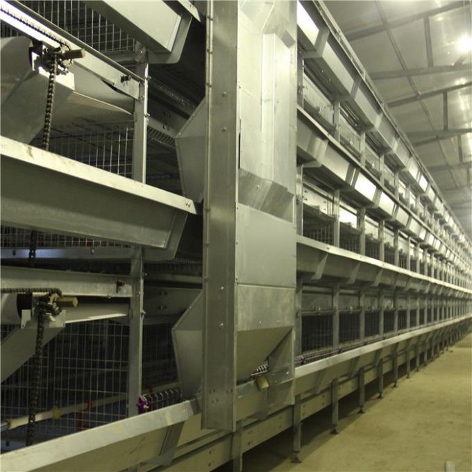 Large Breeding Poultry Exhibition Cages , 120 * 60 * 59CM Chicken