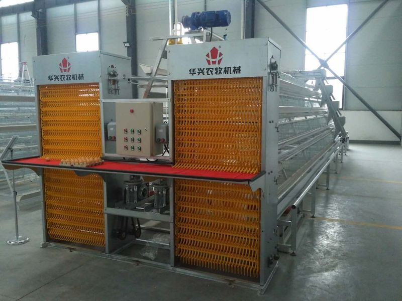 Henan Huaxing Poultry Equipments Co.,Ltd. factory production line