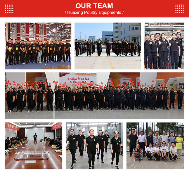 China Henan Huaxing Poultry Equipments Co.,Ltd. company profile