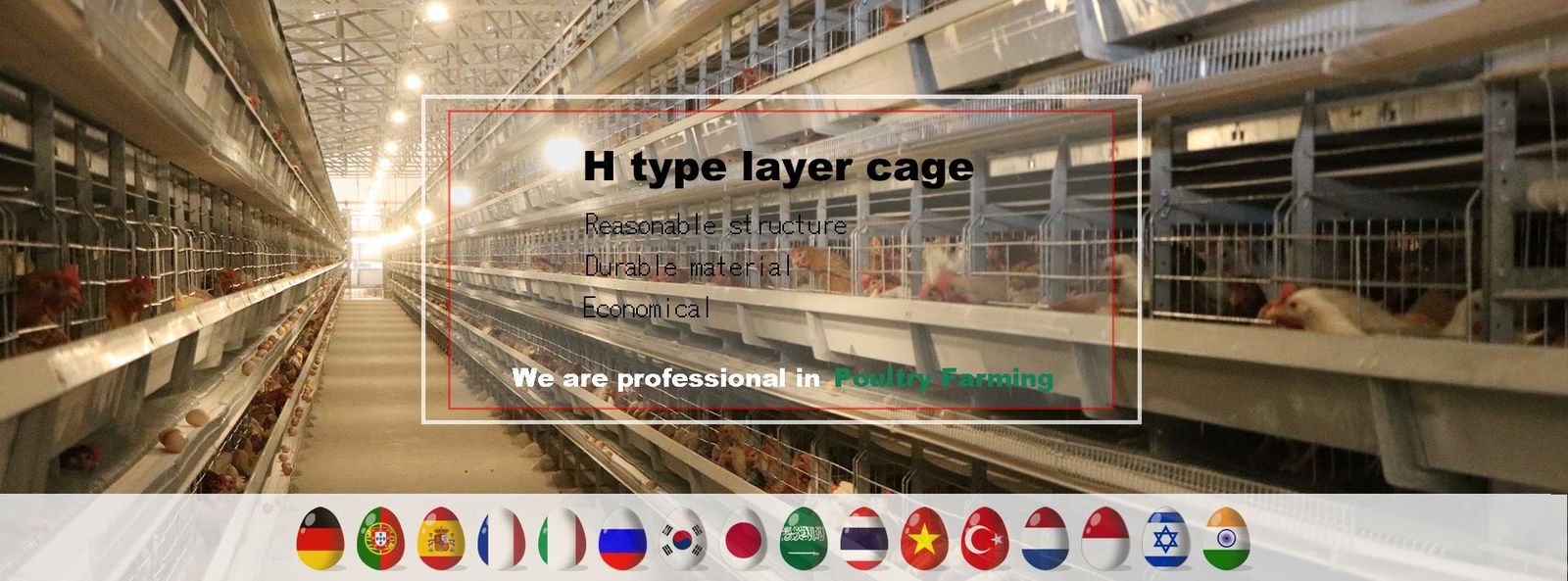 quality Poultry Chicken Cage factory