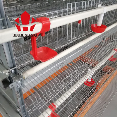 Eco Friendly Poultry Chicken Cage 25000Layer Customized Size OEM 3 - 9 Chickens