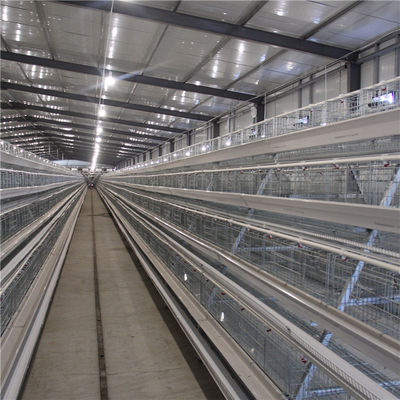 A Frame Broiler Chicken Cage System Hot Dipped Wire Mesh