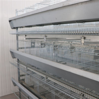 Automatic H Type Layer Chicken Cage Hot Galvanized Steel