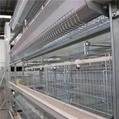 4 Tier 2 Doors H Type Broiler Cage Hot Galvanized Surface Treatment
