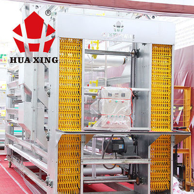 Eggs Collecting Layer Poultry Farming Equipment , Steady Poultry Automation Equipment