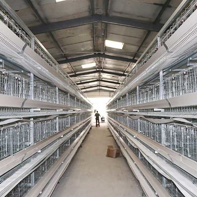 3 / 4 / 5 Tiers Layer Poultry Farm Cage , Custom Power Battery Hen Cages