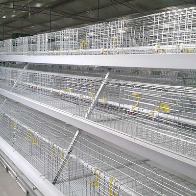 Automatic 3 Tier Animal Cage , 96 - 120 Birds Broiler Cage System For Farm