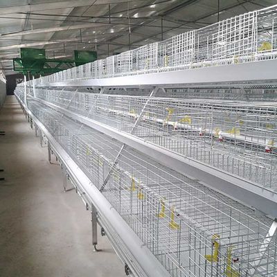 Corrosion Resistant Poultry Layer Cage , Durable Ground Bird Feeder Cage