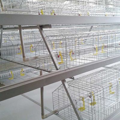 Farming Broiler Chicken Cage A Type 3 Tiers Automatic Control Easy To Install