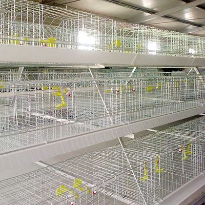 0.75kw Metal Chicken Cage , Automated Control Battery Operated Cages For Poultry