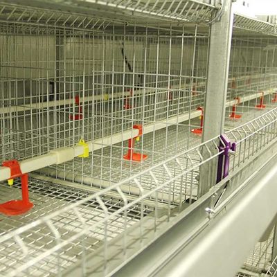 195 * 50 * 35CM Chick Brooder Cage , High Efficiency Cage Layer Farming