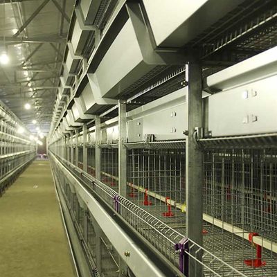 Poultry Farming Chicken Cage Wire , High Temp Resistant High Tech Chicken Cage
