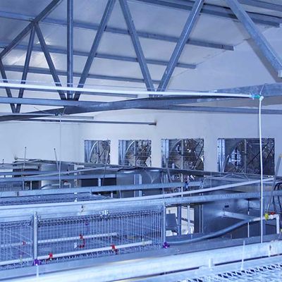 Battery Poultry Farming Equipment , Durable H Type 192 Baby Chicken Cage