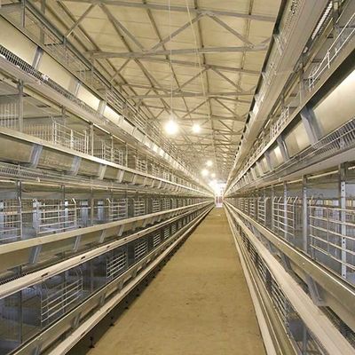 Automatic Layer Poultry Farming Equipment Battery Chicken Egg Layer Cage System