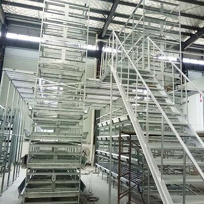 4 / 5 / 6 / 8 Tiers H Type Layer Layer Chicken Cage 120 * 60 * 70 Cm Size