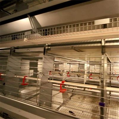 Fireproof Wire Breeding Cages Easy Cleaning 129 Female Chickens / Male Chickens Capacity