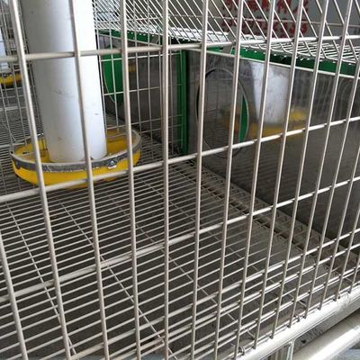 Hot Dipped Galvanized 24 Cells Farm Rabbit Cage With Automatic Cleaning System