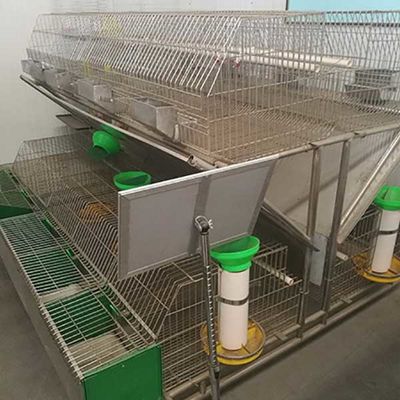 High Performance Farm Rabbit Cage Anti Corrosion Galvanized Surface Easy Drinking