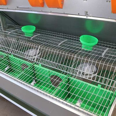 Comfortable Smart Farm Rabbit Cage Q235 Steel Wire / Plastic Material