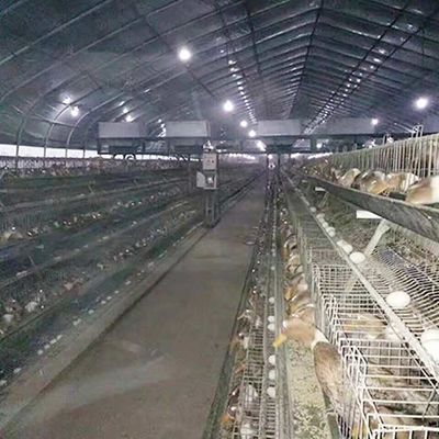 A Frame Chicken Layer Duck Breeding Farming Cage For Poultry Farm