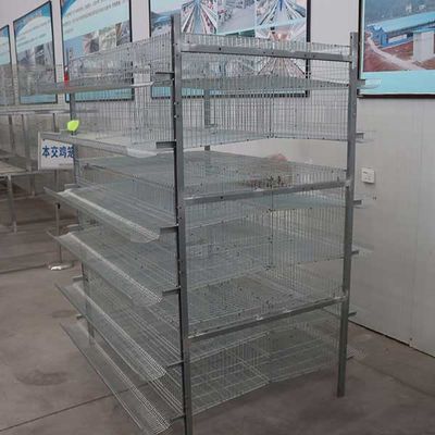 High Performance Farming Quail Indoor Cage , Waterproof Breeding Canary Cages