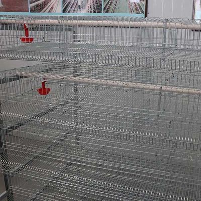 Indoor Farm Quail Breeding Cages 6 Tiers 12 Cell 288 Quails