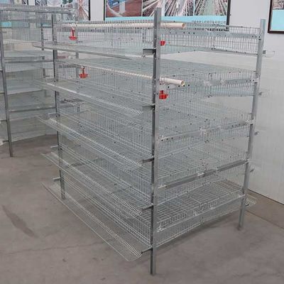 380V / 220V 6 Tier Quail Cage durable for quail breeding industry HXQC5 model