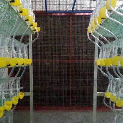 Anti Corrosion Quail Cage Hot Dip Galvanized Coating Working Labor Saving