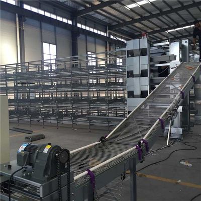 Anti Corrosion Steady Automatic Egg Collection System Low Energy Consumption