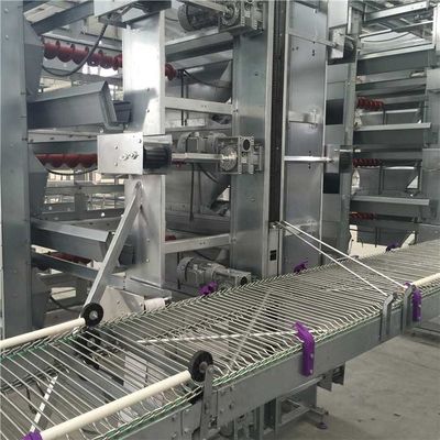 Simple Structure Poultry Egg Collection System , Automatic Equipments Used In Poultry Farming