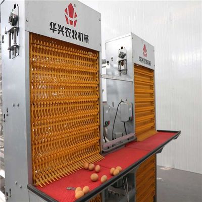 Electrostatic Spray Poultry Farm Machine , Steel Egg Laying Chicken Cages