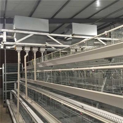 Small Footprint Automatic Poultry Feeder System High Reliability Easy To Use
