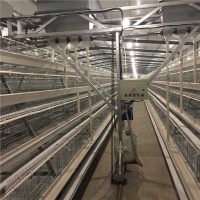 Stable Automatic Pan Feeding System , Layer Poultry Equipment Easy To Manage